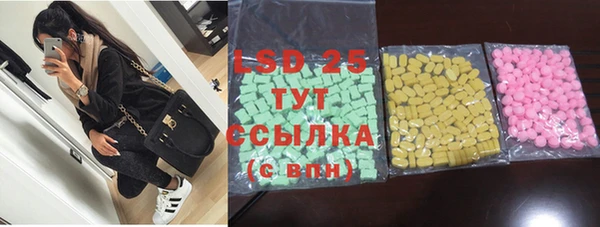 стафф Осташков