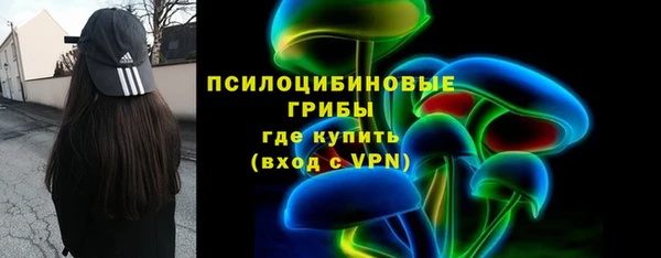 spice Ельня
