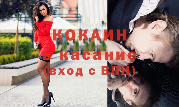 шишки Осинники