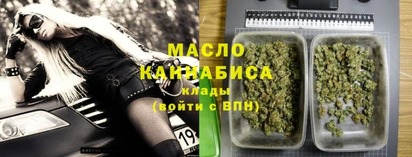 spice Ельня