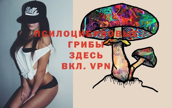 соль ск Елизово