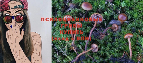 хмурый Заволжье