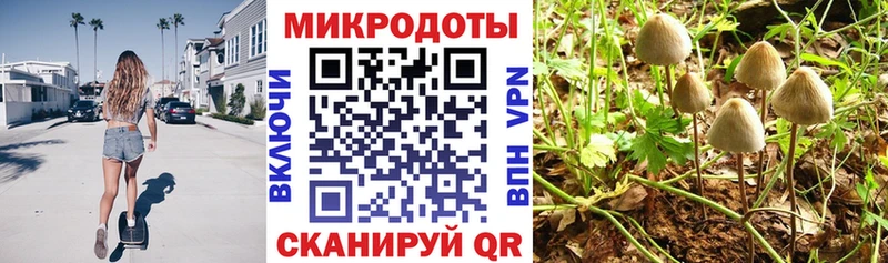 ссылка на мегу вход  цены наркотик  Пионерский  Галлюциногенные грибы Psilocybine cubensis 