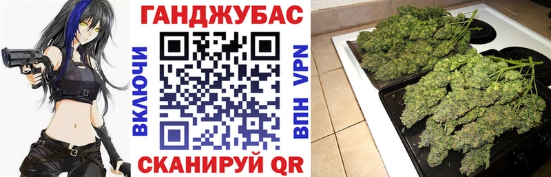 Бошки Шишки план  mega как войти  Пионерский 
